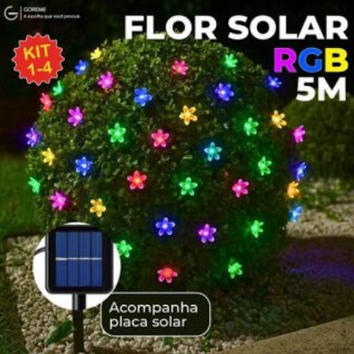 Oferta 17 - oferta